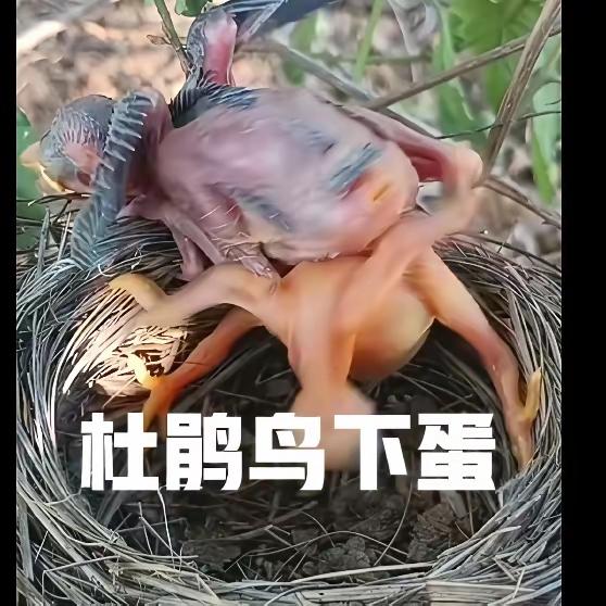 这个好消息来了，一旦真实行，不但要纠正犯的错误，而且还要追责，终身追责。敢于纠