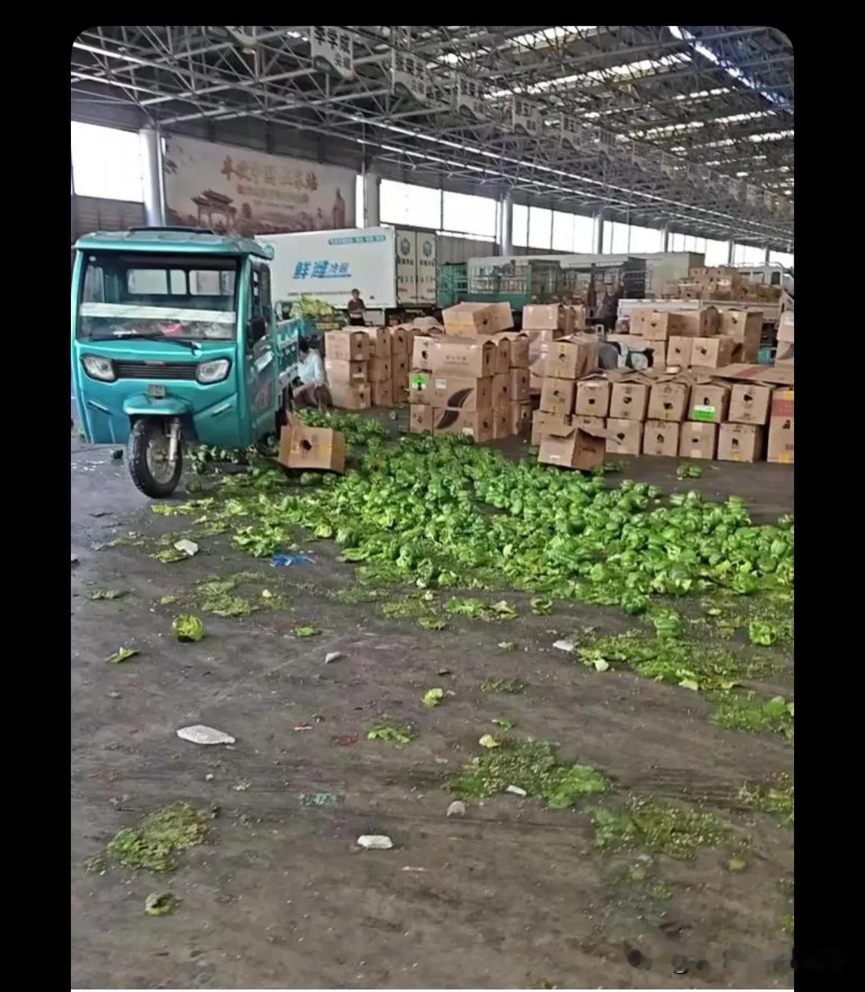 我们买的菜只是没被发现而已，尤其是反季节的蔬菜水果，你就去想吧，我。可能以后也会