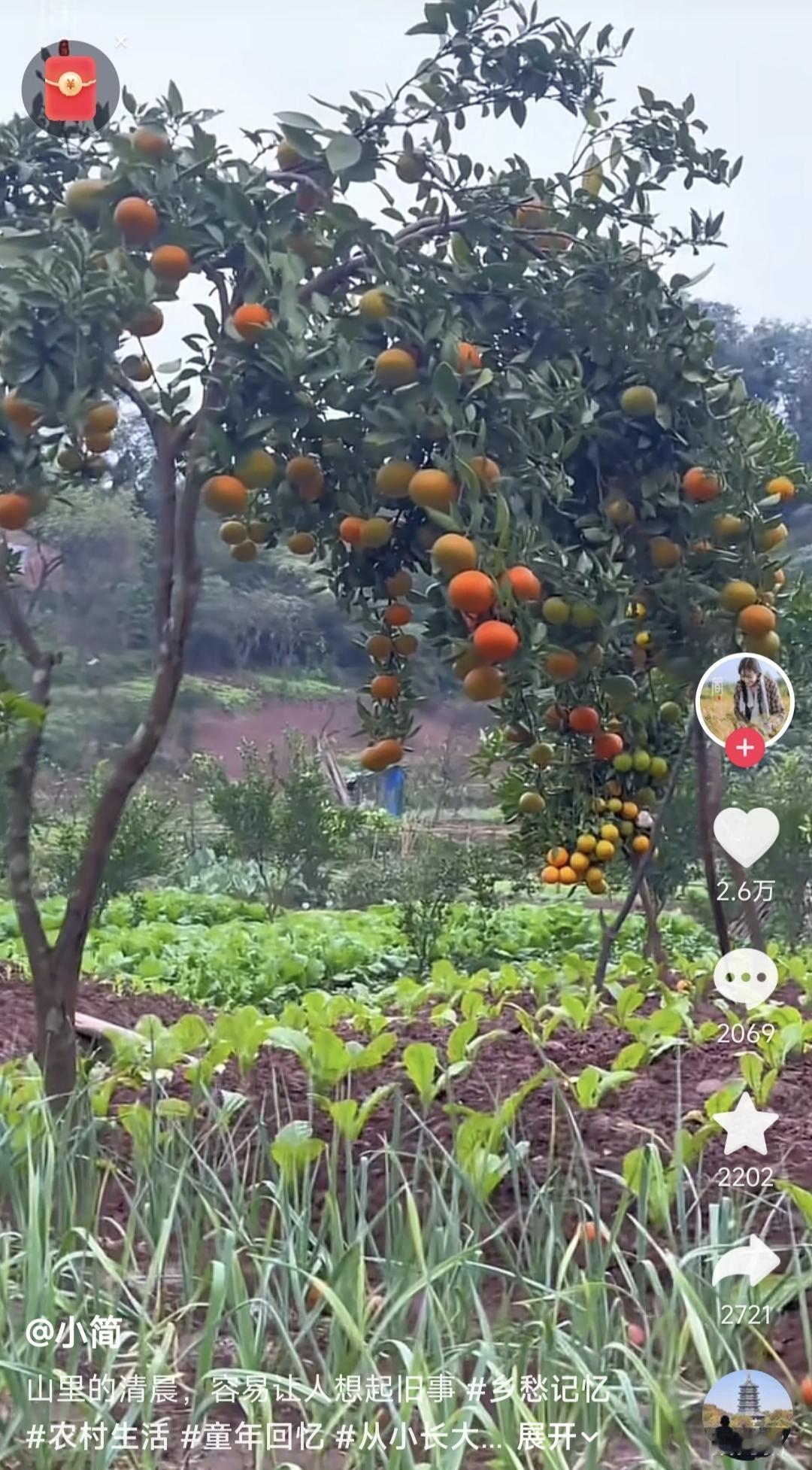 这简直就是四川盆地山村的标准照，今天刷到这个视频，感觉自己回到了童年，这样的环境