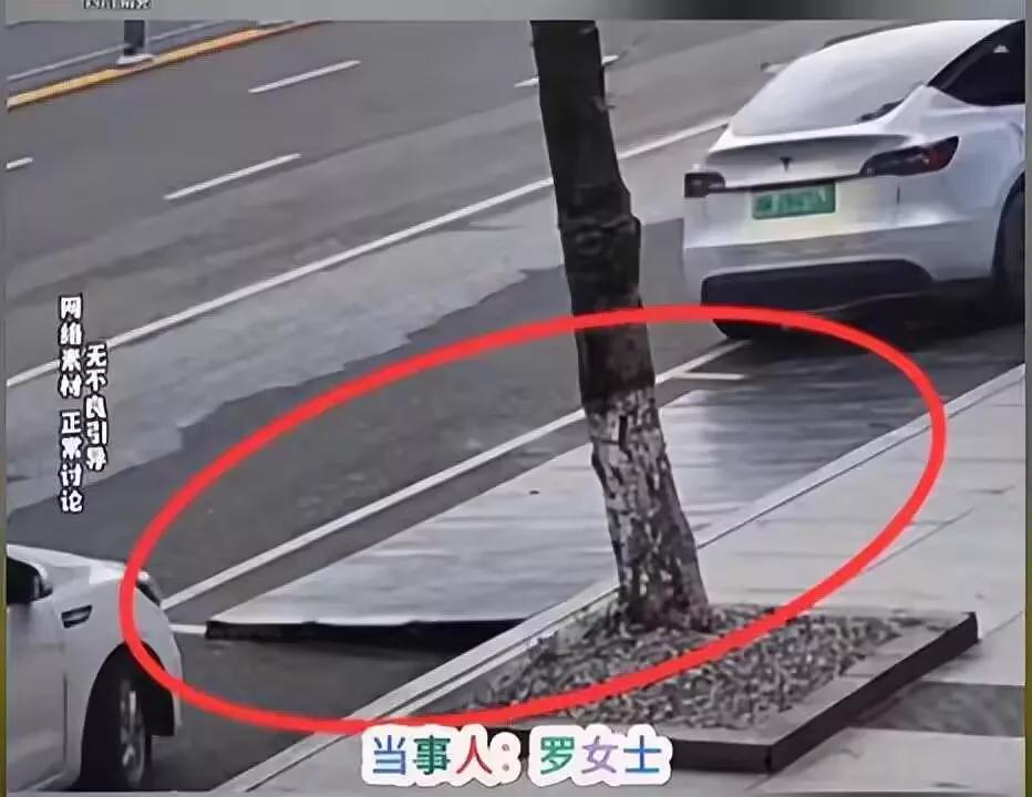 公共车位成私产？四川南充一家修车店，因为一个临时停车的女士，彻底火了！​​1