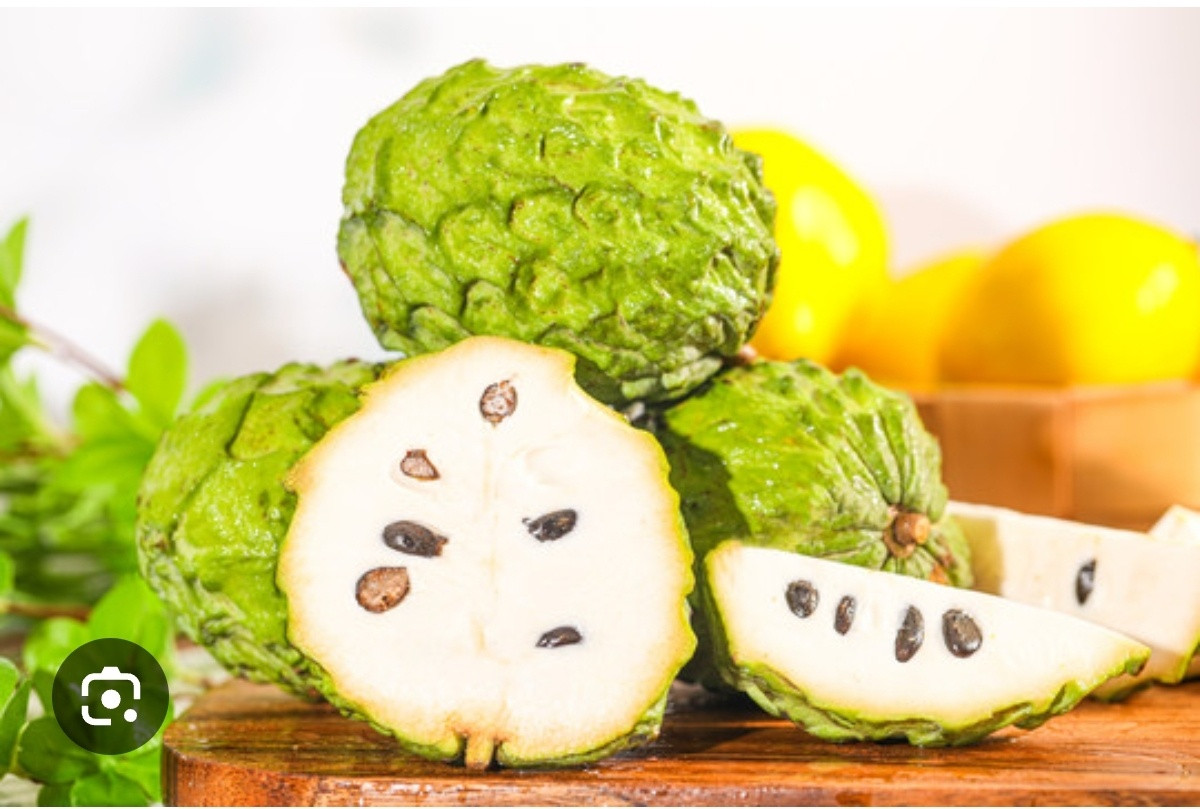 【释迦果种植】2⃣️【释迦果种植方法】：1.选地与备种🔹气候适配：优先选择年