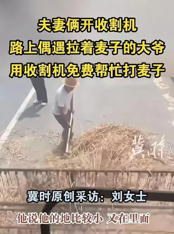 泪目！5月23日河南，一对开收割机的夫妻，干完收割麦子在路边休息，发现一位大爷在