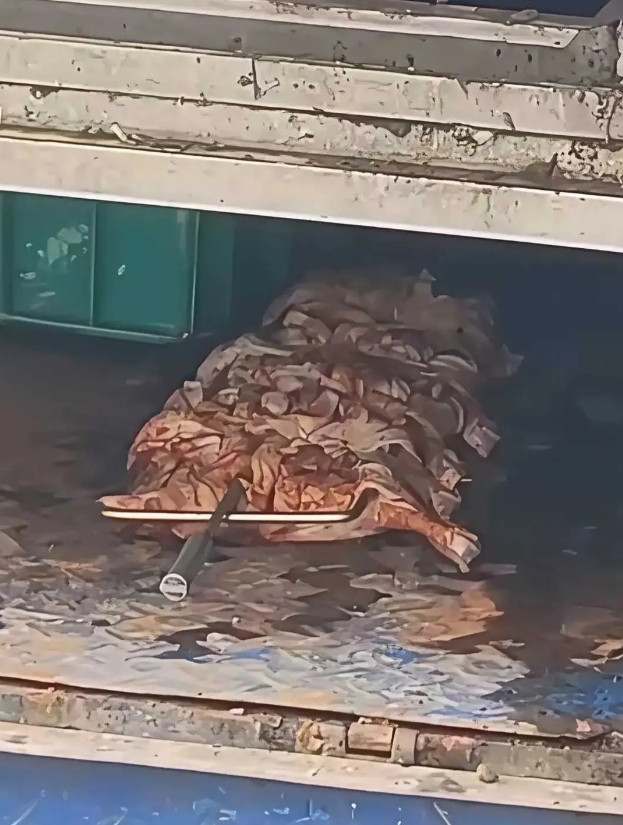 看到这一幕，以后再也不吃了