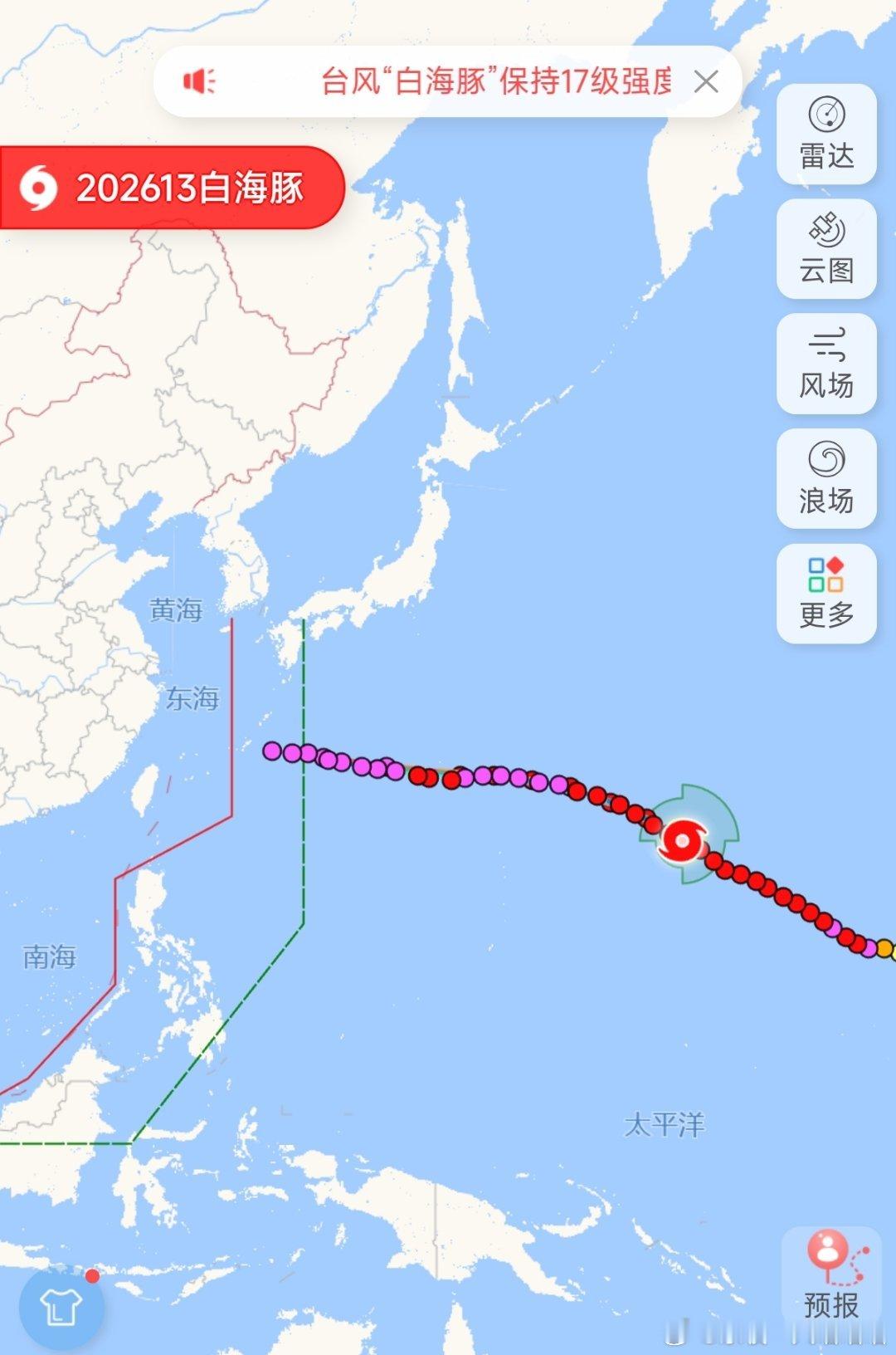 乖乖海豚，你不要过来啊啊啊啊啊啊