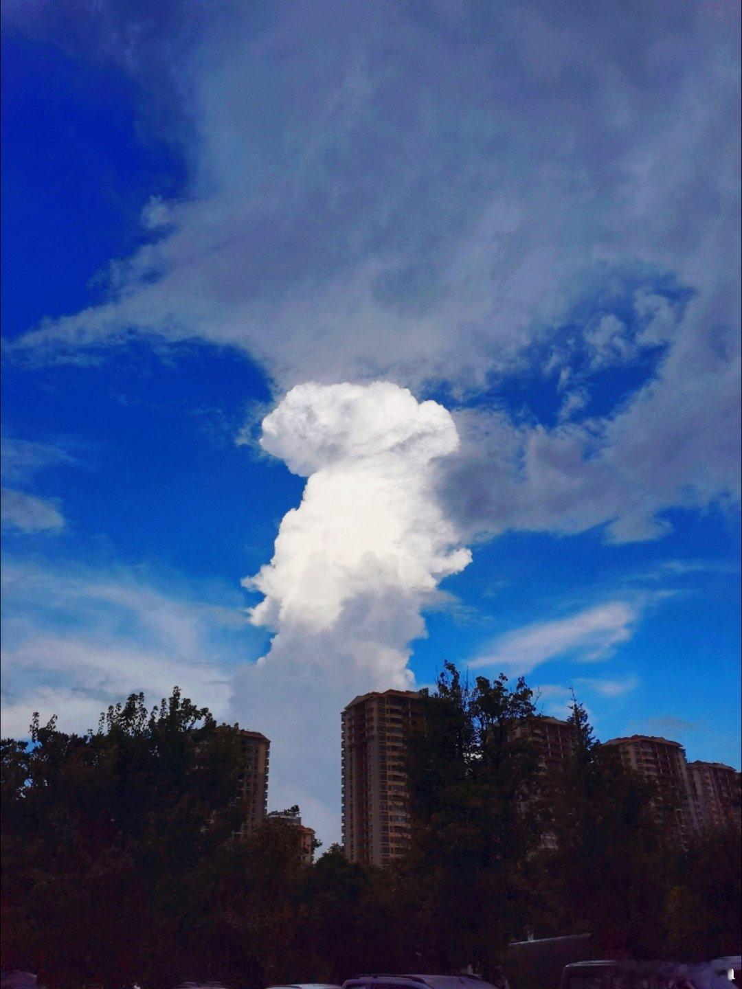 这届微小说作者全是狠人微小说到底藏了多少神作书评人间最寻常的是名利财富，最难求
