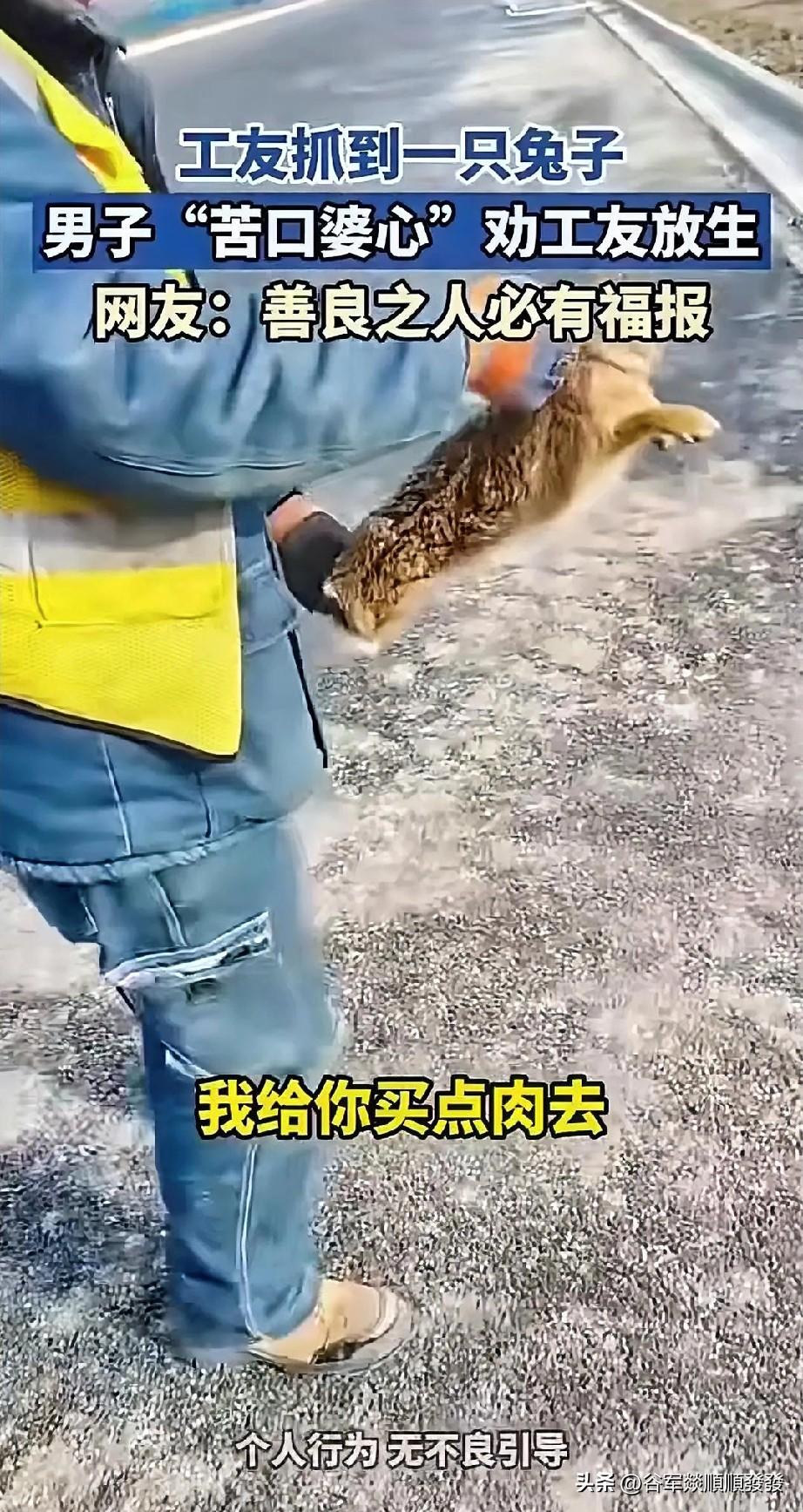 男子看到工友抓了一只兔子，而且还不停地叫唤，声音特别凄惨，他心生可怜，让工友赶紧