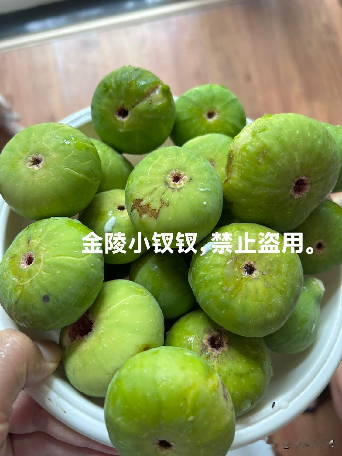 又是丰收的日子！早晨睡到自然醒，一开窗帘门外的阳光透过玻璃，这里的天气就是这