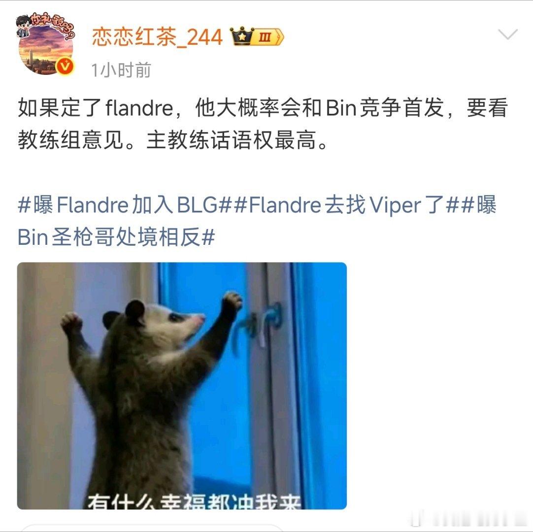 啊？如果Flandre和Bin轮换的话，那Wenbo打了几场就没了？不得不说，现
