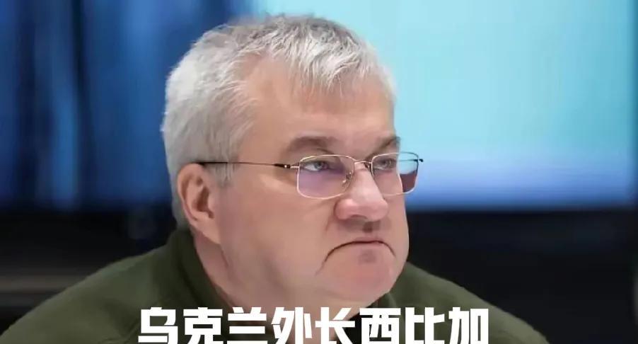 乌克兰都被打漏气了，还敢去招惹其他国家，乌克兰外长6月28日放狠话，将对进口俄罗