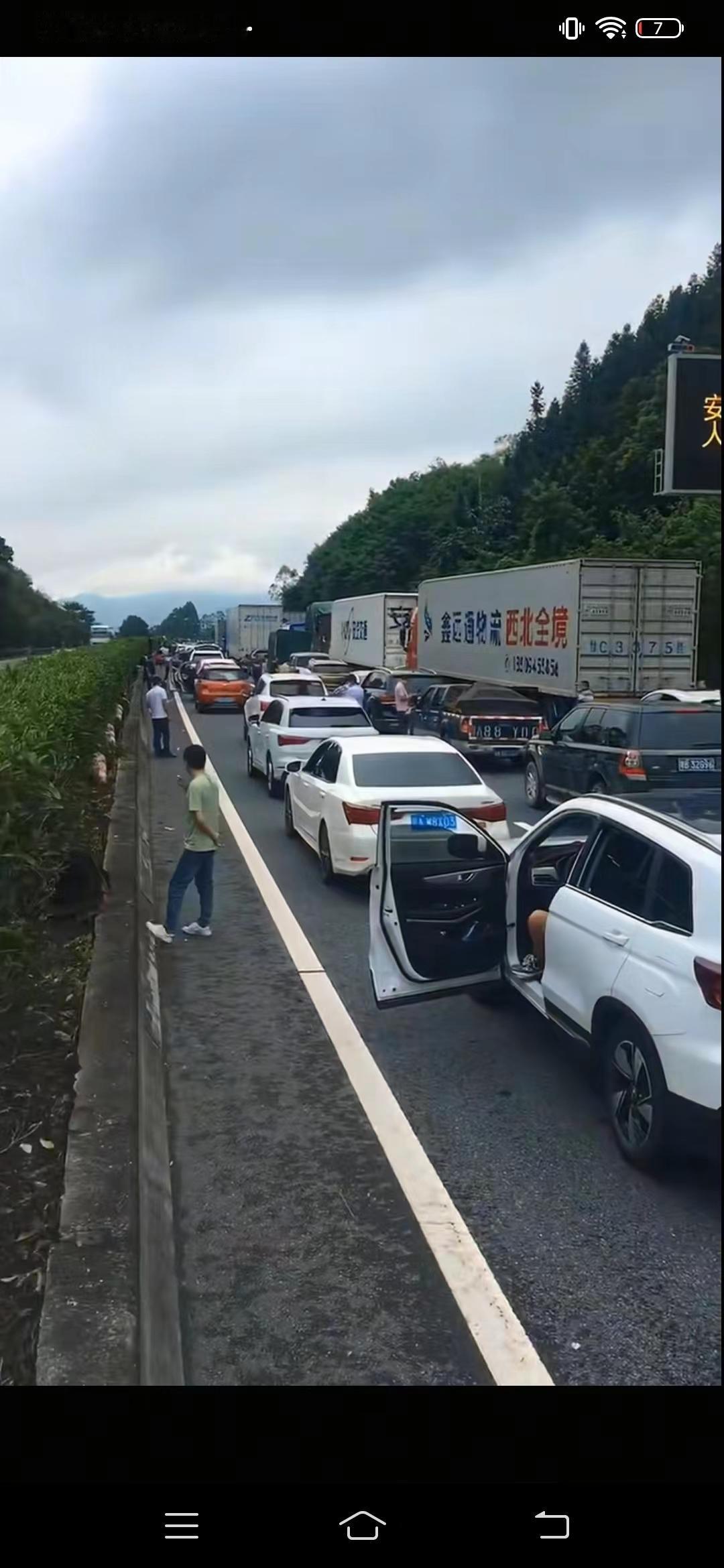 堵车了！何时才是个头？一家四口，就图省这点过路费，现在是下午4点，我愿出20块