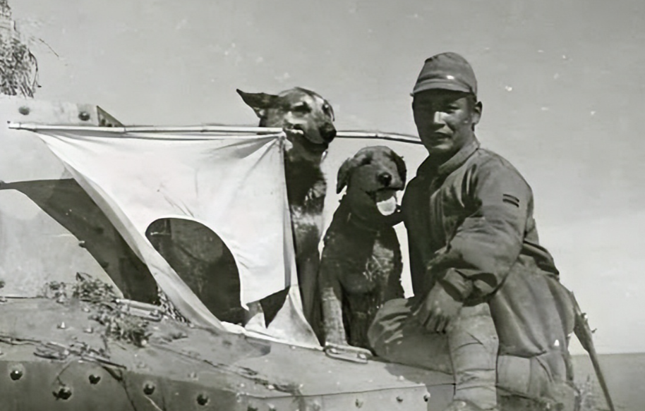 1938年，在日军狼狗队基地打杂的陈小旦，因偷了一块铁皮而被日本兵毒打一顿，随后