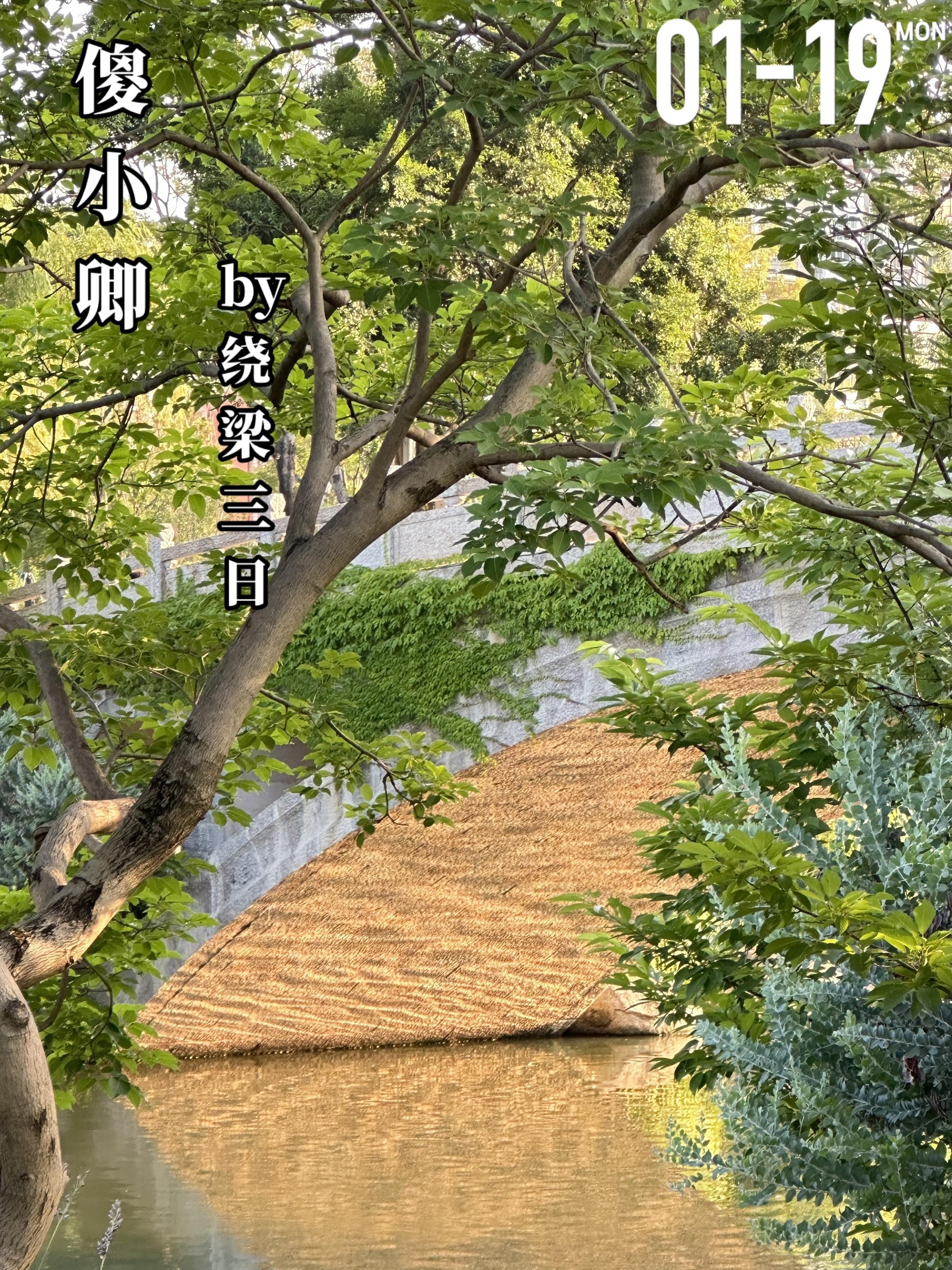 《傻小卿》by绕梁三日。顾小卿（女主）在高考失利后，选择去商场鞋店上班...