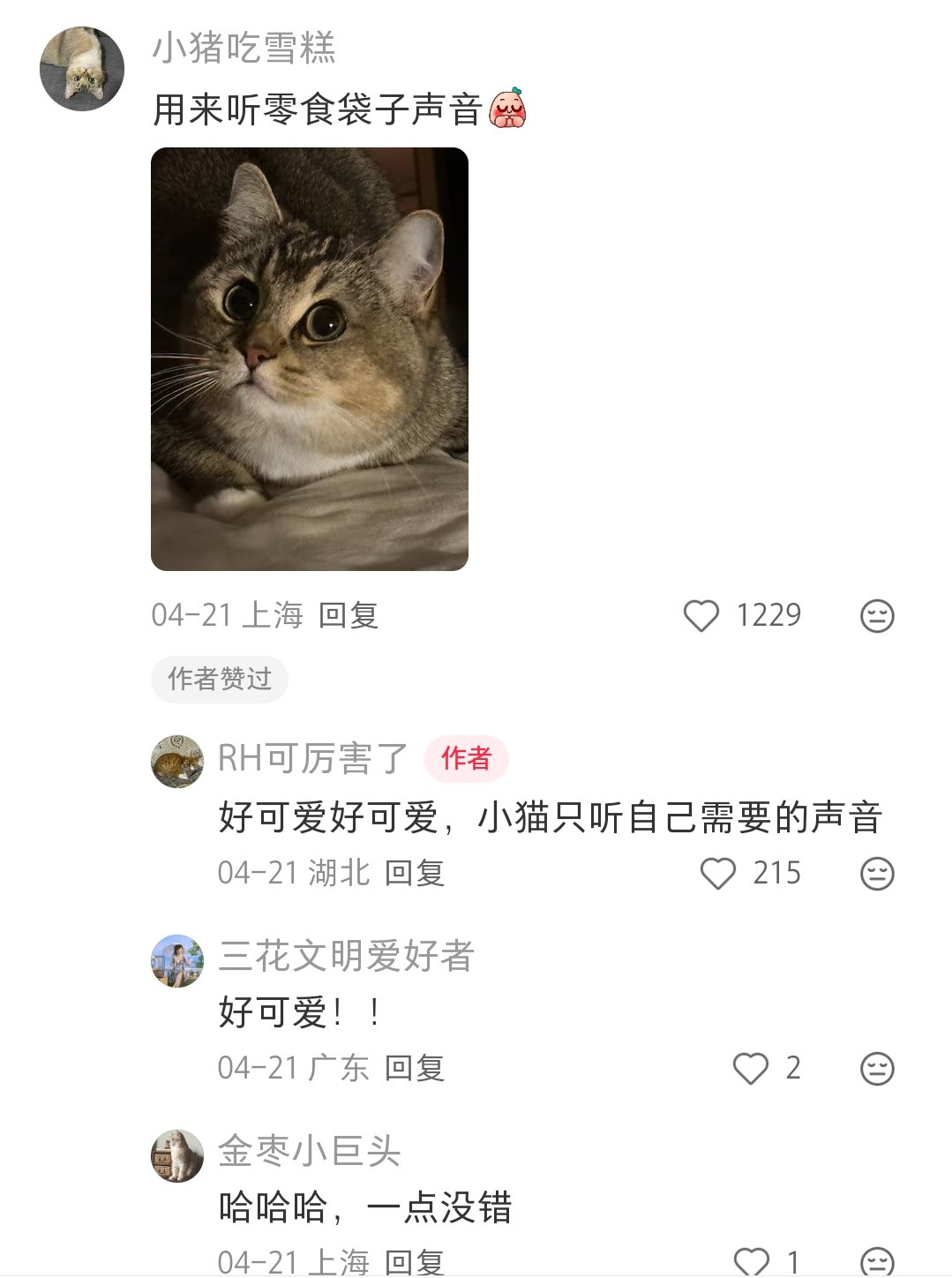 小猫的两个妙脆角有什么用，喊也不理，讲道理也不听