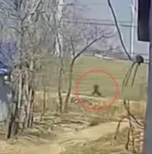 这是几世修来的福！山东，76岁老人在路边散步，突然看到一辆电动三轮车直勾勾的跌入