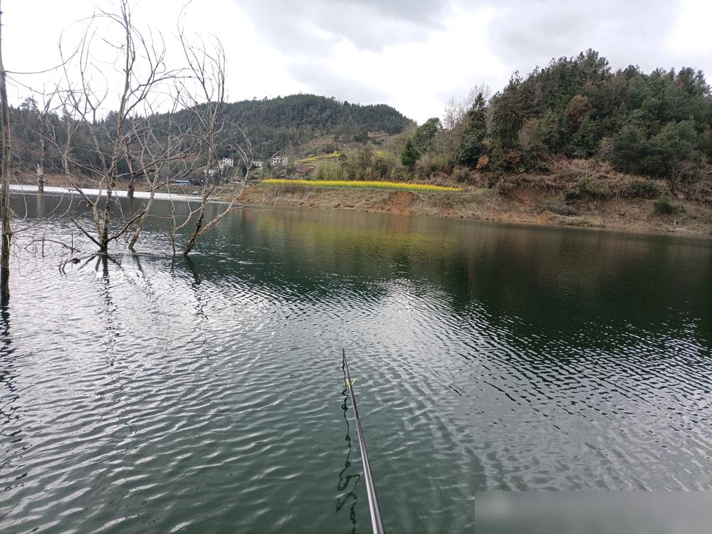 十多位钓友，在8到13℃的阴雨天集体空军。这下把阴天好钓鱼的常识给打破了。
