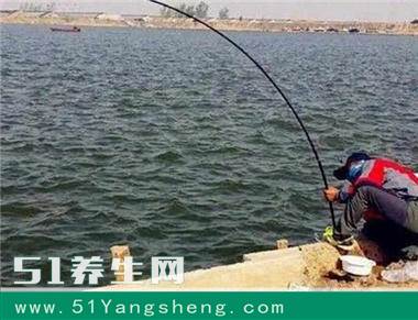 还在用蚯蚓钓鱼的你太落后了 如今大多数人都用它