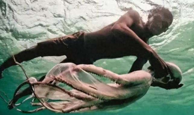 世界上唯一没有国籍的民族：一生只能待在水里，身体开始“进化”2018年，一个