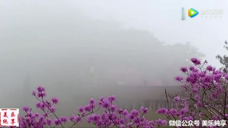 萨克斯.一帘幽梦