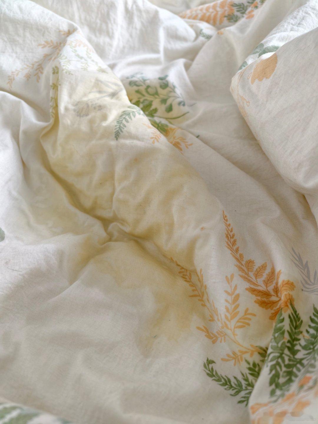 一大早被尿味给熏醒了！！