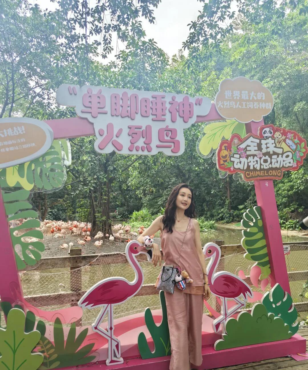 在长隆动物园偶遇王鸥！一开始只觉得眼前的女生气质出众，经朋友提醒才发现是大明星！