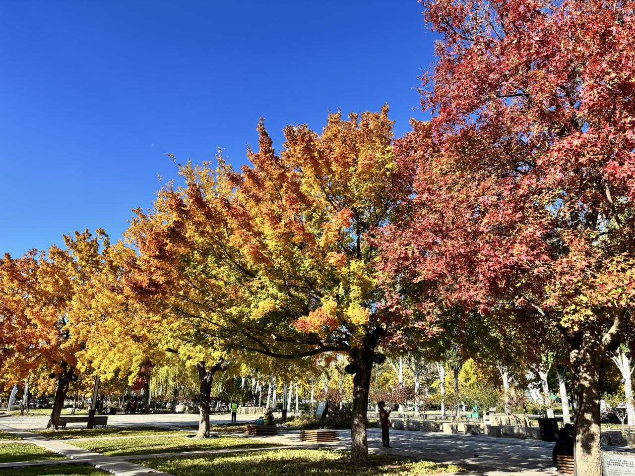 上大学的时候，我一个同学家里不是太富裕，凡是需要花钱的集团活动，他基本都不参加。