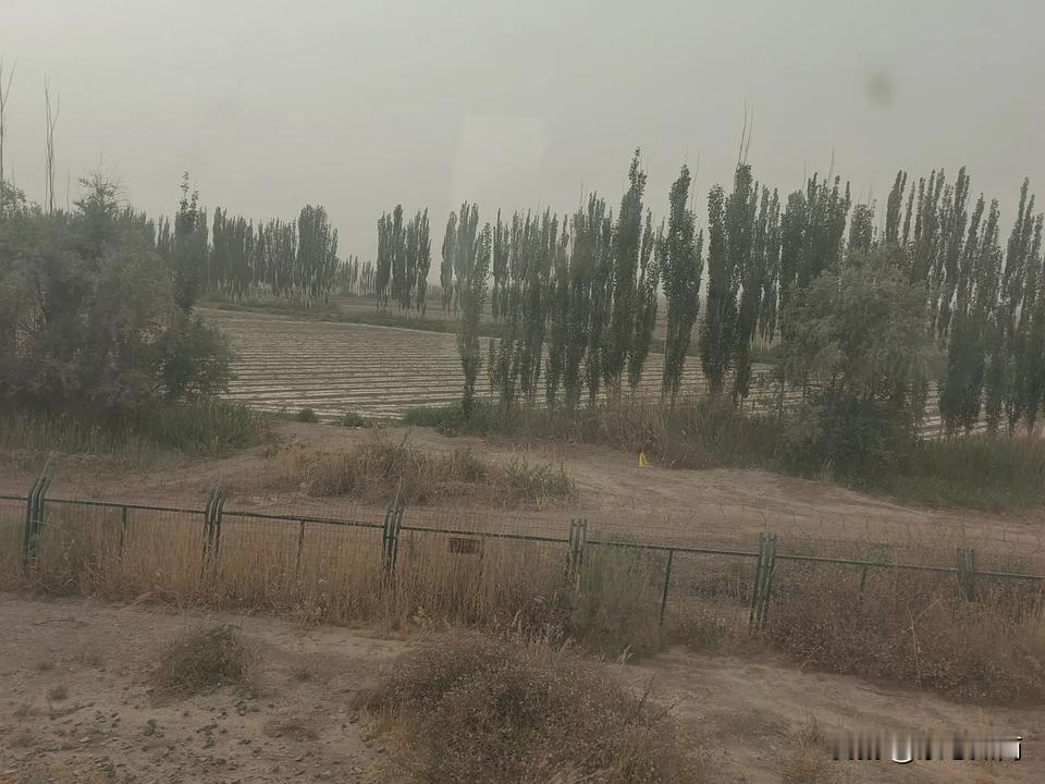 我今天才知道，在新疆境内乘火车，车上是没有饭吃的。我以为乘20多个小时的火车，车