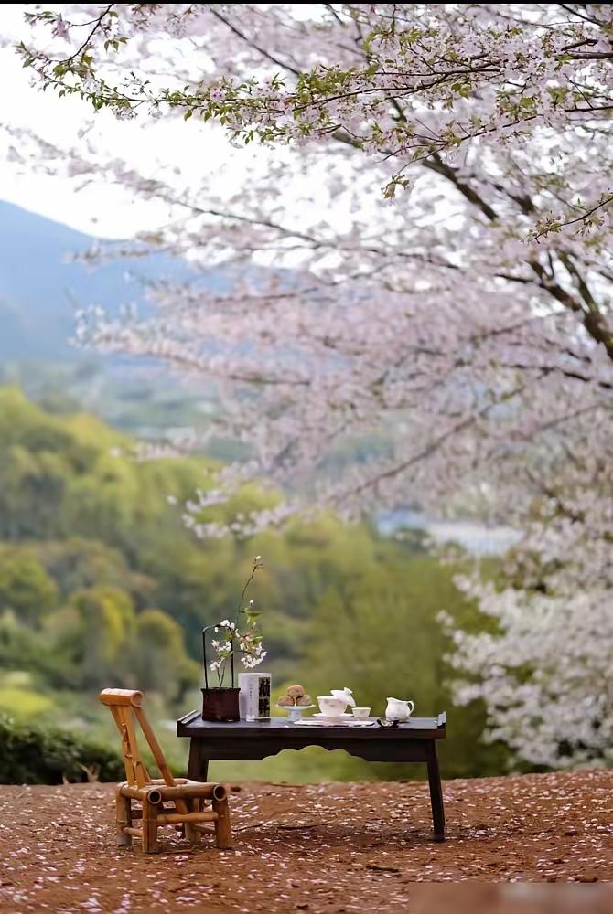 提前提醒大家！赶紧做好心里准备，4月20日早上9点38分，就正式迎来谷雨节气了。