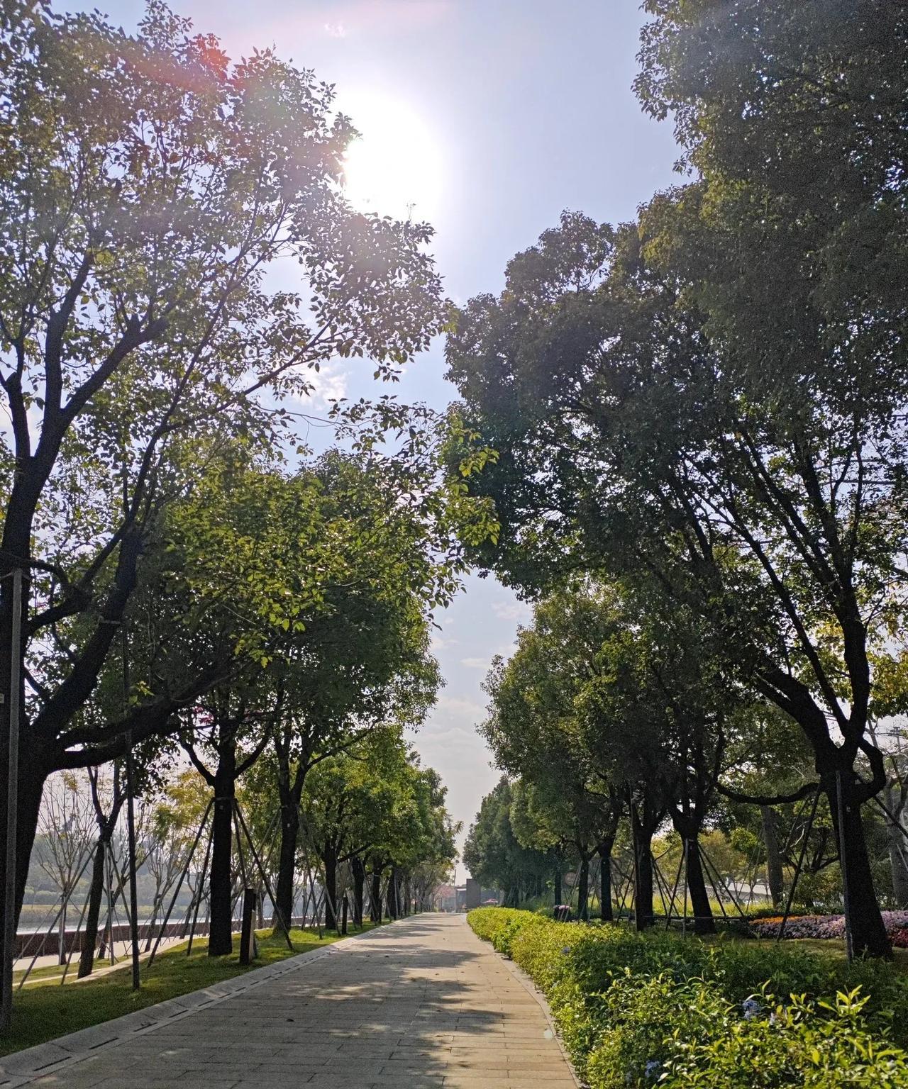 大家认识一个八十八线的叫夏馨雨的女演员吗？被平台封杀了。不是因为她被传言是谢霆