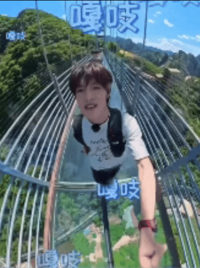 好浓的小狗味儿！再拿近点！！