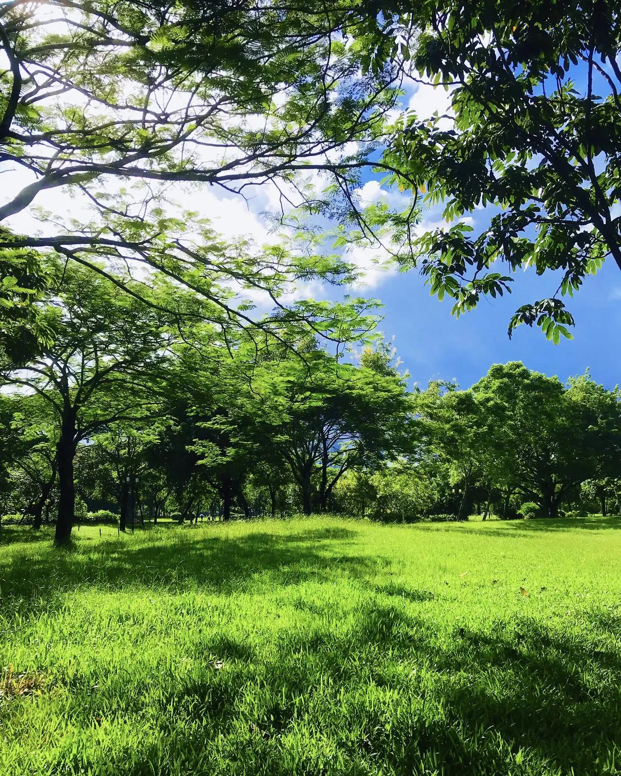 毛姆曾说：“什么是三观不同，你敬畏天理，他崇拜权威，这是世界观不同；你站在良知一
