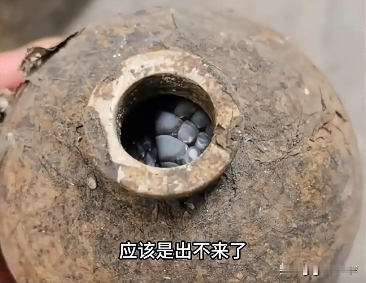 居民田间意外发现冬眠眼镜蛇，专家提醒冬季防蛇意识不可松懈近日，湖南省永州市一居