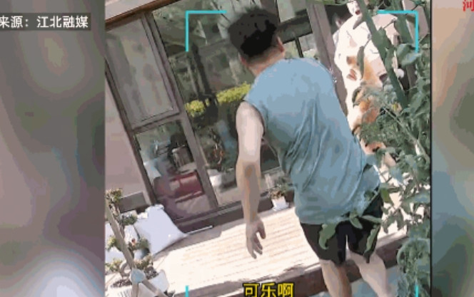 “没苦硬吃！”7月11日，宁夏，一男子用秋田犬的水盆接水浇花，谁知却被这只饲养了