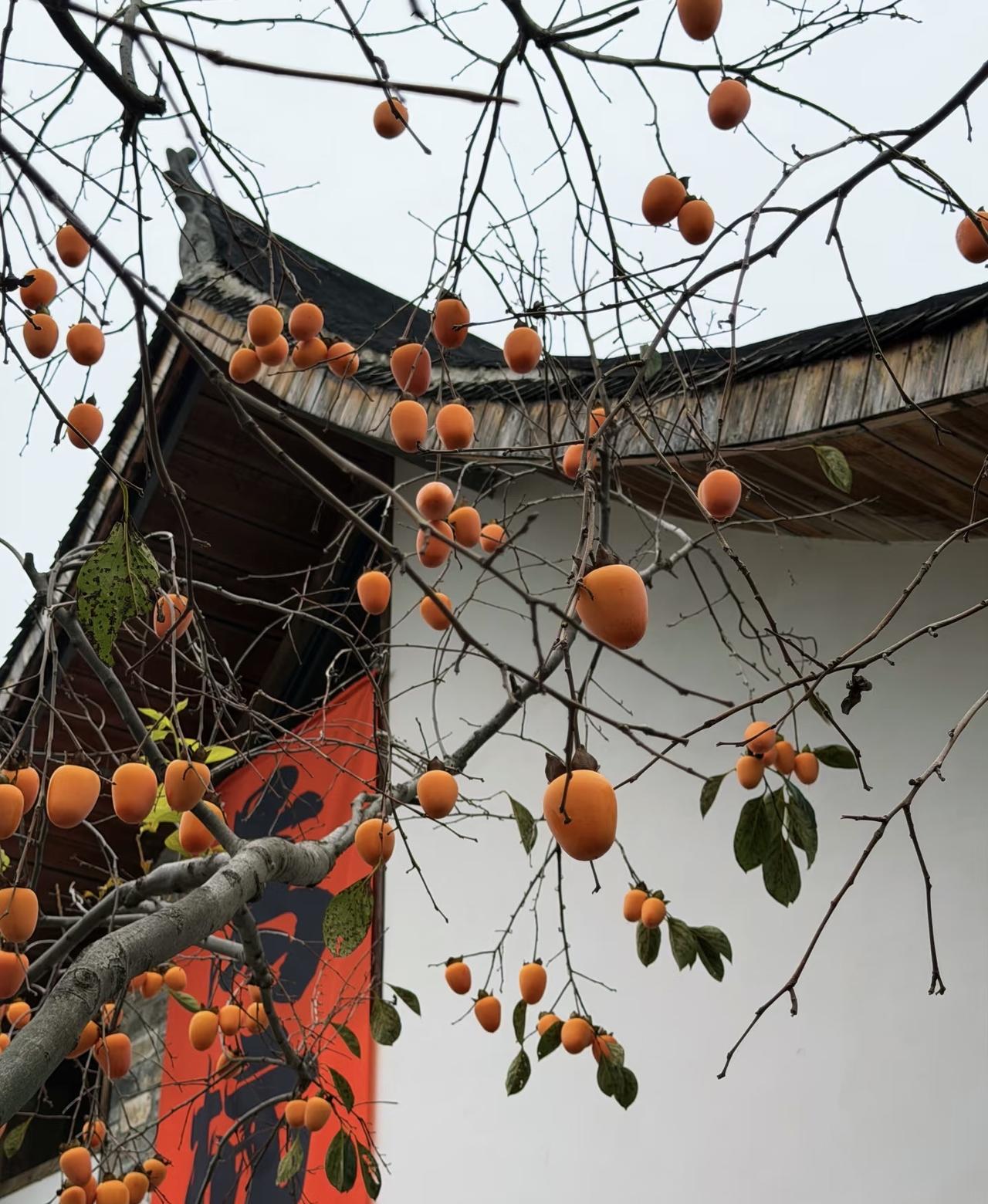 昨夜，父亲来梦里与我告别。他穿着那件常穿的黑色绒衣，看着登机牌的名字，我把他