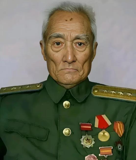 1955年，抗战英雄肖万世，爱上地主家18岁女儿。上门提亲时，地主怒吼：“想娶我