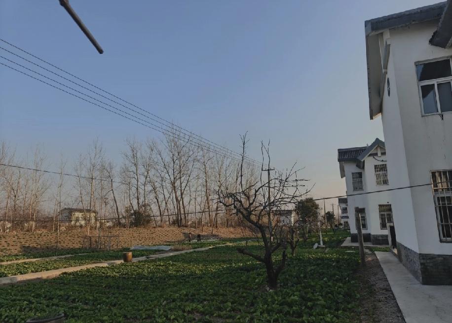 老公发小93年本科，是架构工程师，城里有房老家有小洋楼，年薪十几万，条件看着挺不