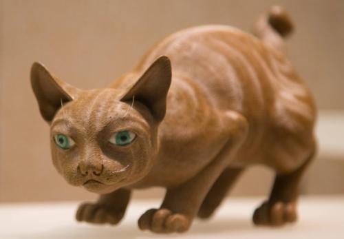 1958年，广东老农天不亮就上山砍柴，突然他感觉身旁有个阴森森的目光在盯着他，仿