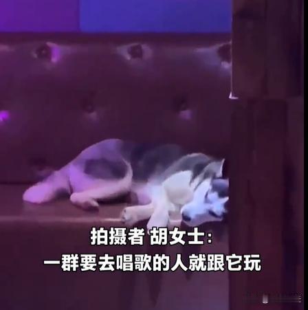 湖北，一男的夜里无聊约了几个朋友去KTV唱歌，大家约在练歌厅门口准备进去，这时看