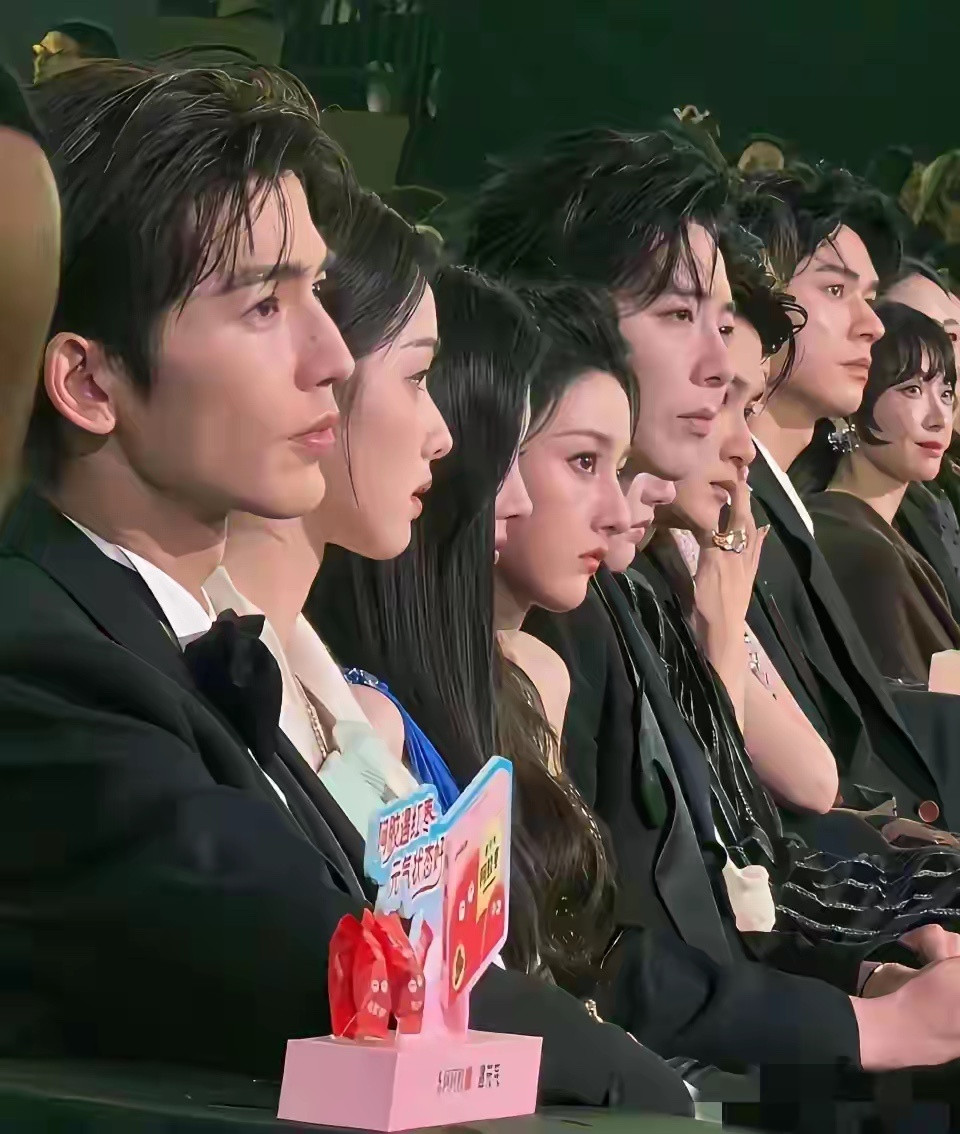 不得不说明星不是谁都能当的！这一排鼻子没一个塌的！