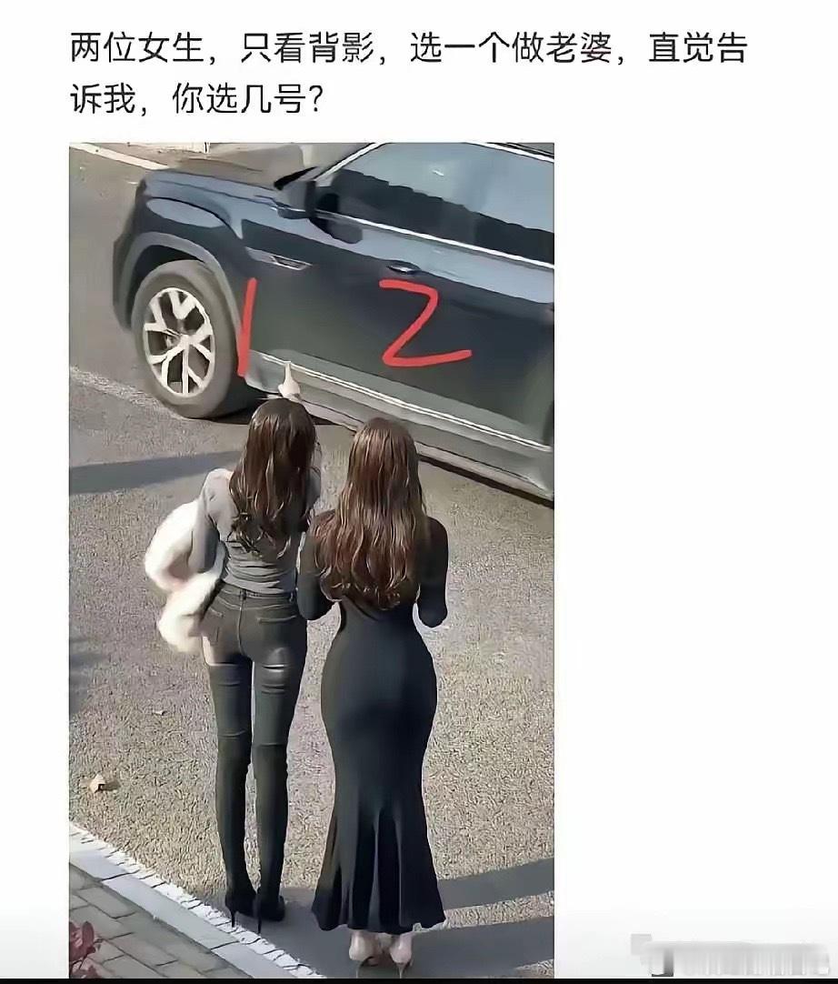 个人感觉2号降不住她，还是选1号更踏实些！