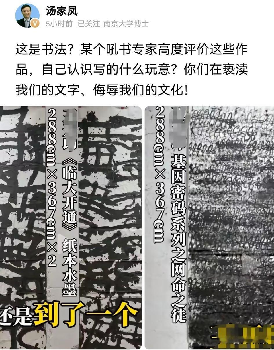 汤家凤发文怒怼，别把胡闹当艺术！现在有些所谓的“吼书大师”，把一堆乱涂乱画的东