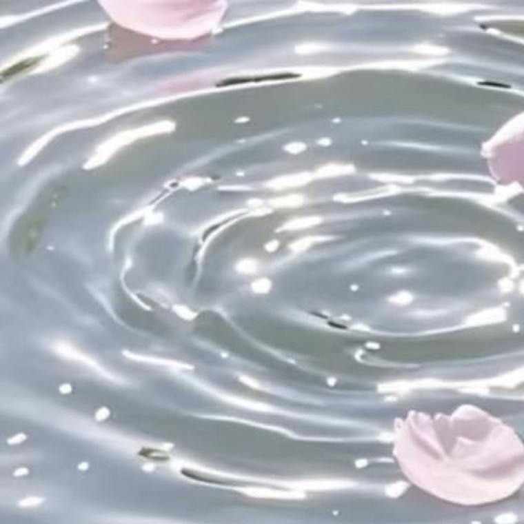 0000sorry我担就这么争气梅花种植方法：1.阳光充足：梅花喜欢温暖、阳