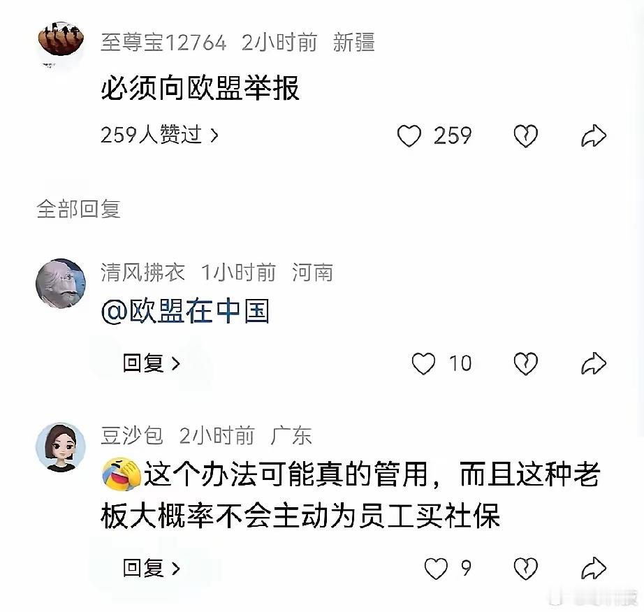 星宇股份这事，网友已经举报到欧洲了。一旦欧洲那边做出回应，对星宇甚至国内企业都是