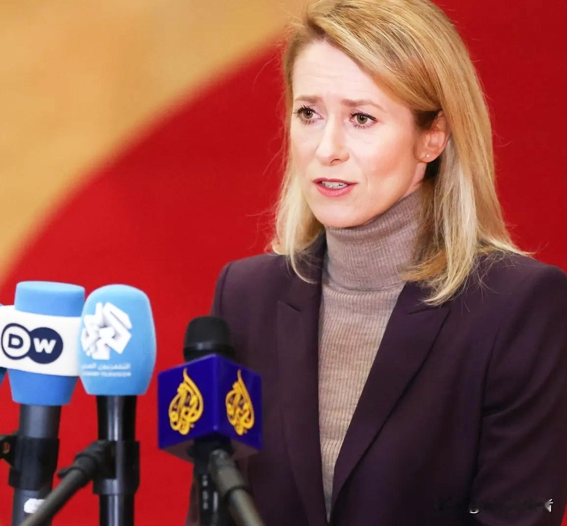 卡拉斯承认乌克兰加入北约的问题已不再讨论之列，但她自问自答说：“为什么有的国家要