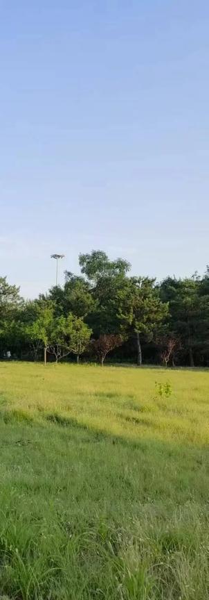 今天特别想写写我先生在家的一天每天早上7点雷打不动的起床（因为孩子上学他做早餐