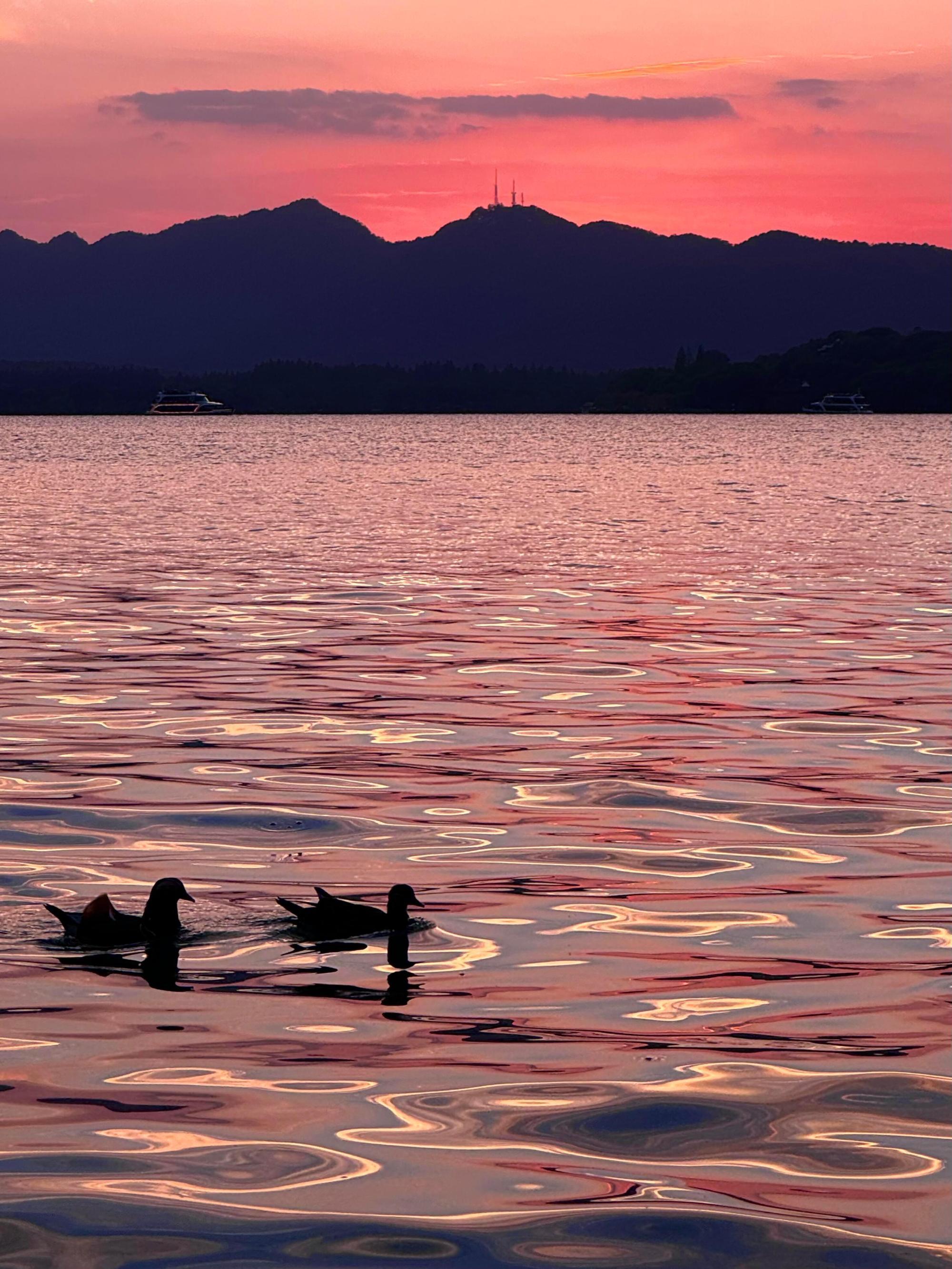 傍晚的西湖有粉色的乌托邦
