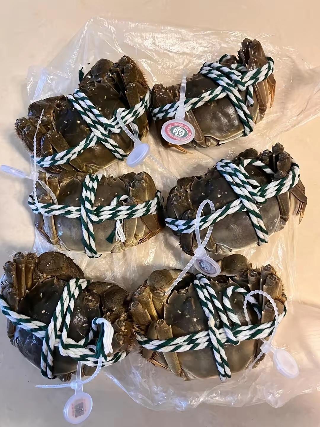 中秋节，又生一肚子气。儿子说好中秋回来吃饭，俺定了六只大闸蟹，一斤八十一，花了快