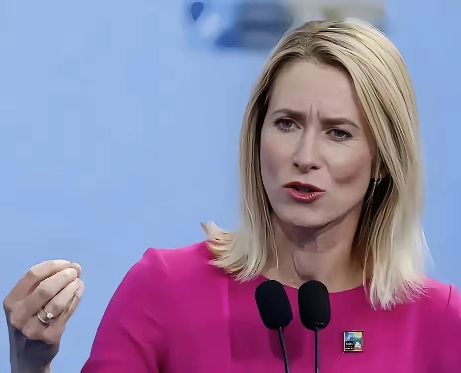 欧盟外长卡拉斯是干事业的女强人，容貌也漂亮，长得不比当花瓶的总统夫人差。卡拉斯