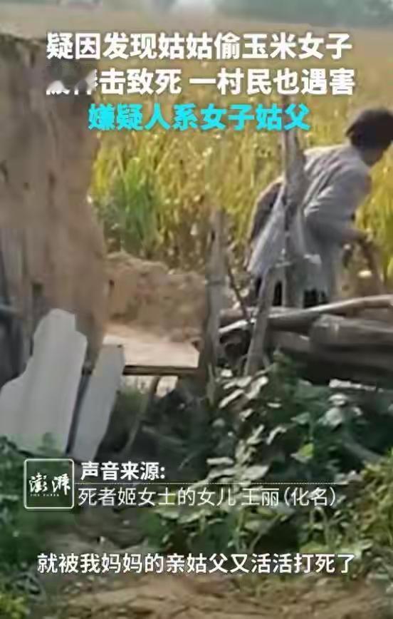 玉米地旁的血案！亲姑姑偷玉米，姑父竟下杀手，连邻居都不放过这不是杜撰的刑侦
