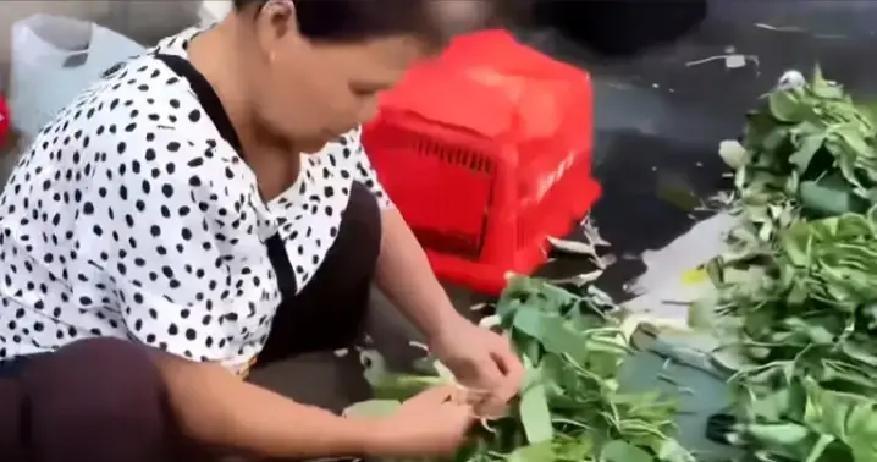 一个土豆卖300块，还得叮嘱人家“拿水浸几天，发了芽再吃”，这事儿也就咱们的大妈