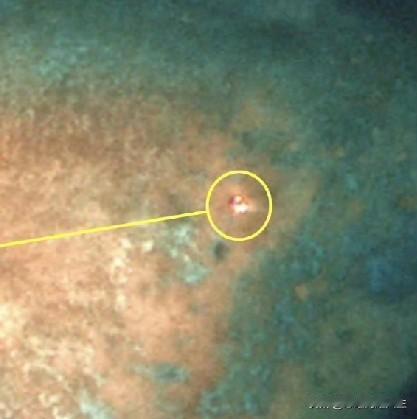 666，搞半天这个从菲猴嘴里才知道，原来这玩意儿是6X6米结构，面积36平米的6